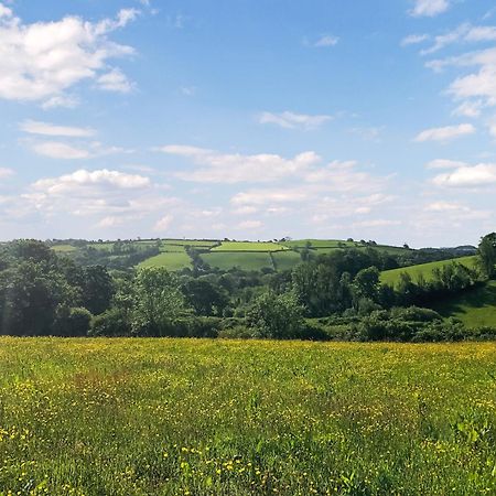 Llanfynydd Ynywsen Dairy Flatヴィラ エクステリア 写真