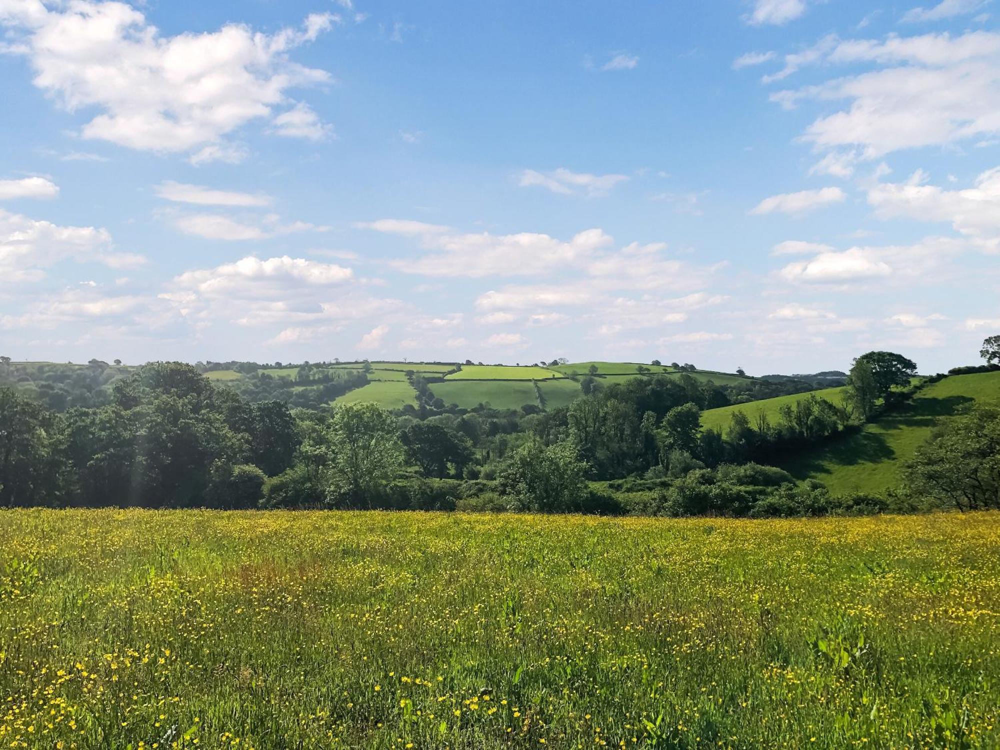 Llanfynydd Ynywsen Dairy Flatヴィラ エクステリア 写真
